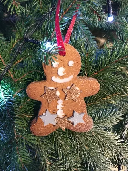 Gingerbread Starman!